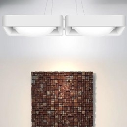 Lampada a sospensione moderna artistica 2 luci