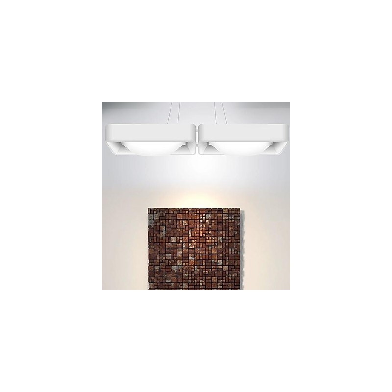 Lampada a sospensione moderna artistica 2 luci