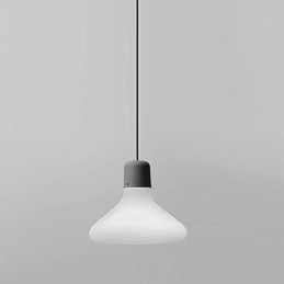 Lampada a sospensione moderna artistica 1 luce
