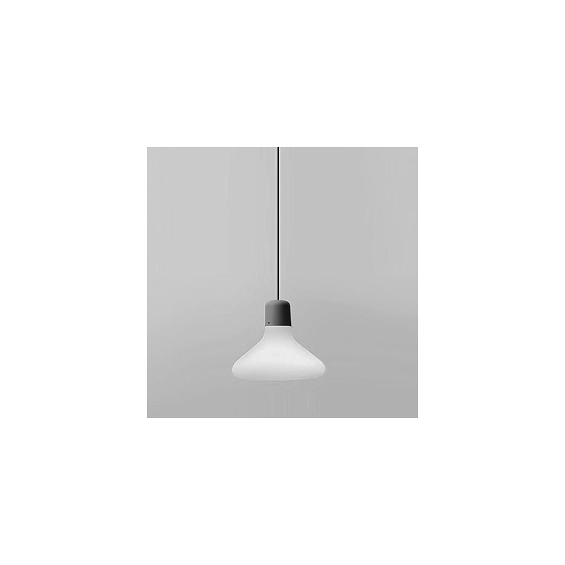 Lampada a sospensione moderna artistica 1 luce