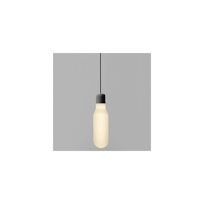Lampada a sospensione moderna artistica 1 luce