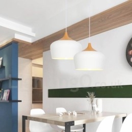 Lampada a sospensione moderna contemporanea in metallo 1 luce
