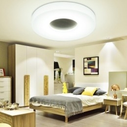 Plafoniera moderna e contemporanea con paralume in acrilico 210 mm