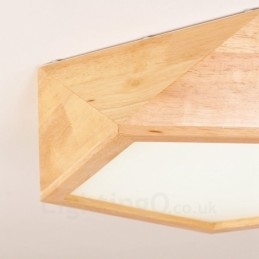 Plafoniera da soffitto nordica moderna e contemporanea con paralume in acrilico