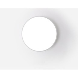 Plafoniera LED moderna nordica dimmerabile ultra sottile con paralume in acrilico e telecomando