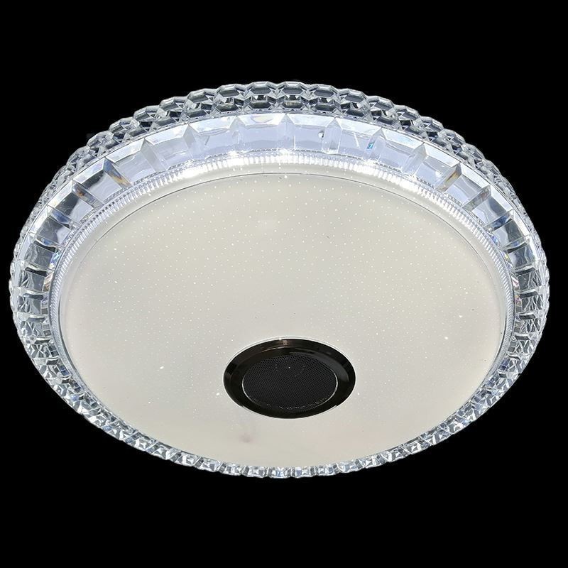 Plafoniera LED a filo 40 cm con controllo tramite app e altoparlante Bluetooth