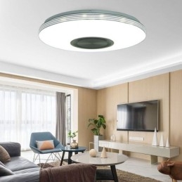 Plafoniera LED a filo 40 cm con controllo remoto tramite APP e altoparlante Bluetooth