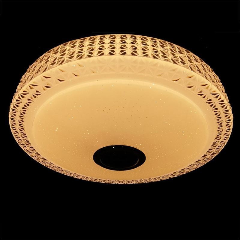 Plafoniera LED a filo con telecomando APP, altoparlante Bluetooth, 40 cm