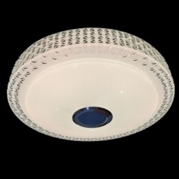 Plafoniera LED a filo con telecomando APP, altoparlante Bluetooth, 40 cm
