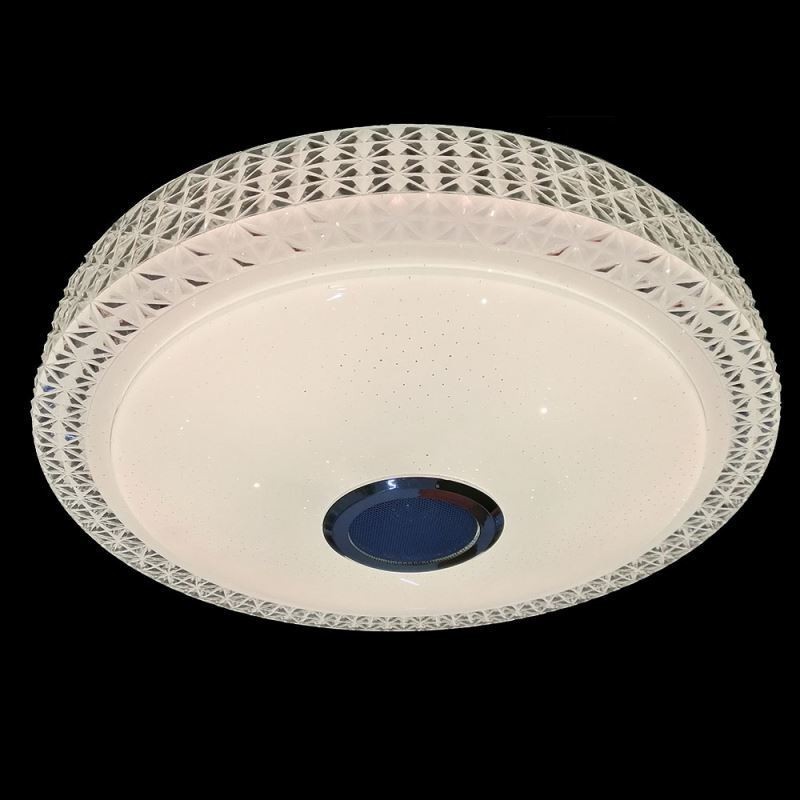 Plafoniera LED a filo con telecomando APP, altoparlante Bluetooth, 40 cm