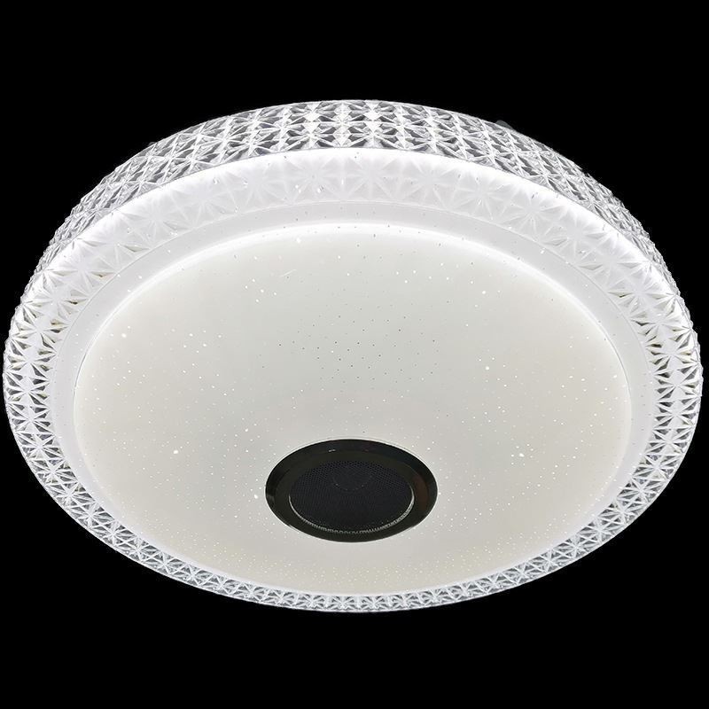 Plafoniera LED a filo con telecomando APP, altoparlante Bluetooth, 40 cm