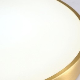 Plafoniera LED moderna rotonda dorata in acrilico a filo