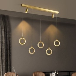 Lampada a sospensione LED in acrilico con faretto, cavo regolabile