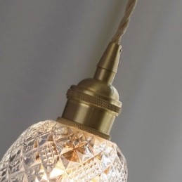 Lampada a sospensione in vetro a fiore, 1 luce, moderna