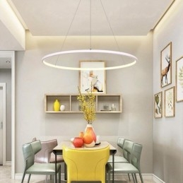 Lampada a sospensione circolare moderna 60 cm 80 cm