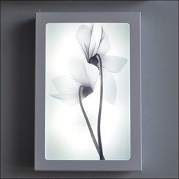 Applique da parete moderna contemporanea dipinta con luce ambientale LED integrato 12 W