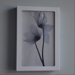 Applique da parete moderna contemporanea dipinta con luce ambientale LED integrato 12 W