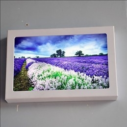 Applique da parete LED integrata moderna contemporanea luce ambientale 30x5x20 cm