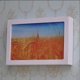 Applique da parete LED moderna contemporanea dipinta luce ambientale 12 W 30x5x20 cm