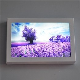 Applique da parete LED moderna contemporanea dipinta 12 W luce ambientale 30 x 5 x 20 cm