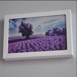 Applique da parete LED moderna contemporanea dipinta 12 W luce ambientale 30 x 5 x 20 cm