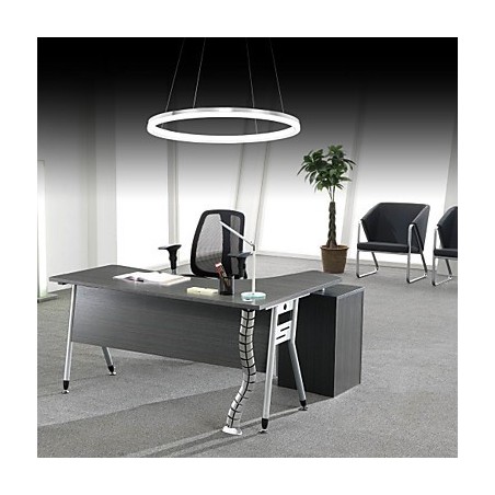 Lampada a sospensione LED ad anello singolo in acrilico bianco, 40 cm
